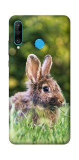 Чохол на Huawei P30 lite Кролики фото 1 з 1