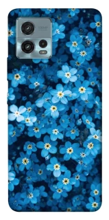 Чехол на Motorola Moto G72 Flowers v6 фото 1 из 1