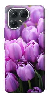 Чехол на TECNO Pova 7 Фиолетовые тюльпаны фото 1 из 1