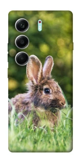 Чехол на Tecno Camon 40 Pro Кролики фото 1 из 1