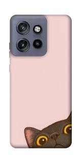 Чехол на Motorola Edge 50 Neo Peeping cat фото 1 Чехол на Motorola Edge 50 Neo Peeping cat фото 1 из 1
