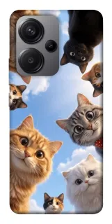 Чехол на Xiaomi Redmi Note 13 Pro+ Cats фото 1 из 1