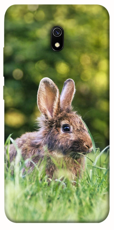 Чехол на Xiaomi Redmi 8a Кролики фото 1 из 1