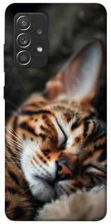 Чехол на Samsung Galaxy A52 4G / A52 5G Cat paws фото 1 из 1