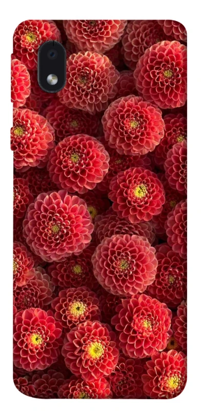 Чохол на Samsung Galaxy M01 Core / A01 Core Midnight1 фото 1 з 1