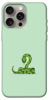 Чехол на Apple iPhone 15 Pro Max (6.7") Змейка фото 1 из 1