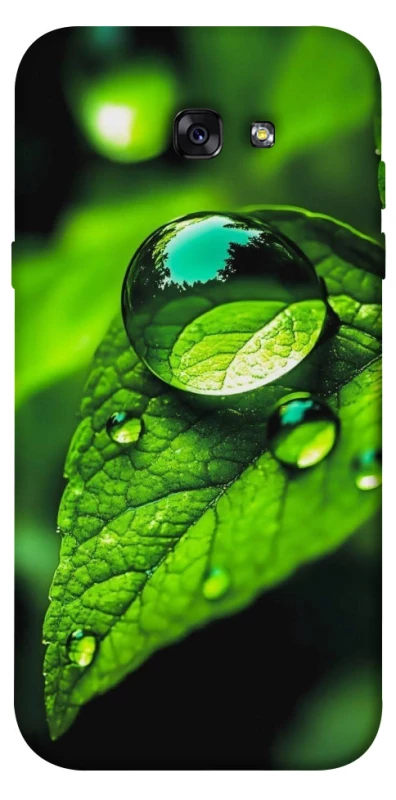 Чохол на Samsung A720 Galaxy A7 (2017) Flowers v16 фото 1 з 1