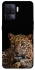 Чехол на Oppo A94 Leopard v4 фото 1 из 1