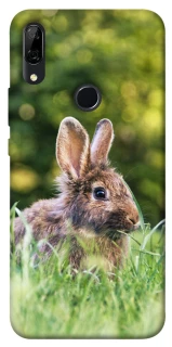 Чехол на Huawei P Smart Z Кролики фото 1 из 1
