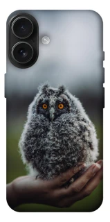 Чехол на Apple iPhone 17 (6.3") Совёнок фото 1 из 1