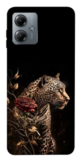 Чохол на Motorola Moto G14 Leopard v3 фото 1 з 1