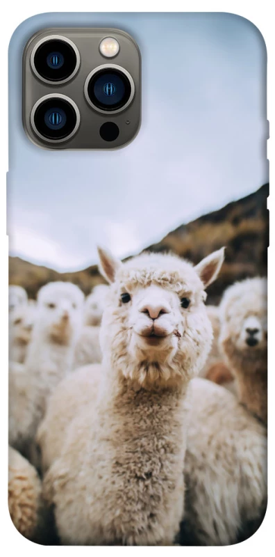 Чехол на Apple iPhone 13 Pro Max (6.7") Лама фото 1 из 1