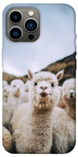 Чехол на Apple iPhone 13 Pro Max (6.7") Лама фото 1 из 1