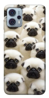 Чохол на Motorola Moto G23 Doggy Pug Love фото 1 Чохол на Motorola Moto G23 Doggy Pug Love фото 1 з 1