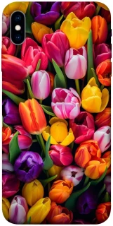 Чехол на Apple iPhone X (5.8") Flowers v30 фото 1 из 1