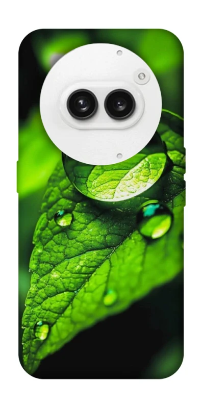 Чехол на Nothing Phone (2a) Flowers v16 фото 1 из 1