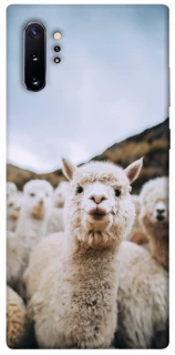 Чохол на Samsung Galaxy Note 10 Plus Лама фото 1 з 1