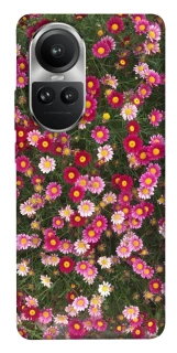Чехол на Oppo Reno 10 Flowers v8 фото 1 из 1