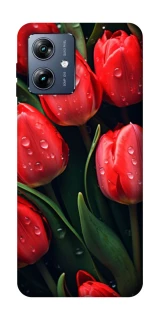 Чохол на Motorola Moto G54 Power Червоні тюльпани фото 1 Чохол на Motorola Moto G54 Power Червоні тюльпани фото 1 з 1