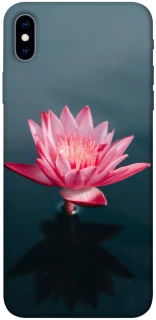 Чехол на Apple iPhone XS Max (6.5") Лотос фото 1 из 1