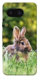 Чехол на Google Pixel 8 Кролики фото 1 из 1