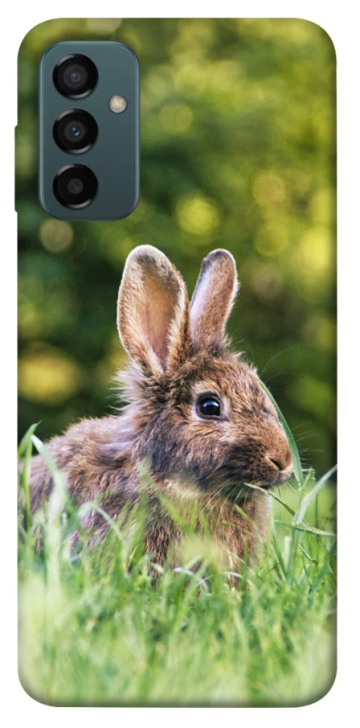 Чехол на Samsung Galaxy M13 4G Кролики фото 1 из 1