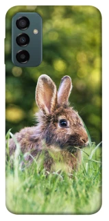 Чехол на Samsung Galaxy M23 5G Кролики фото 1 из 1