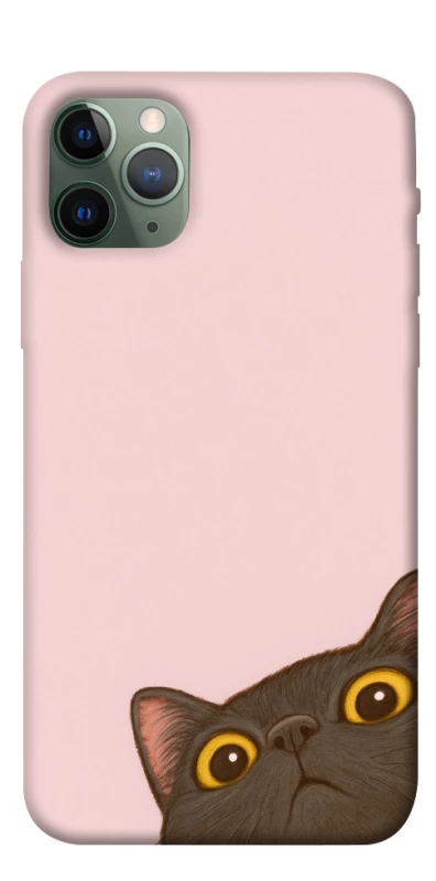 Чохол на Apple iPhone 11 Pro (5.8") Peeping cat фото 1 з 1