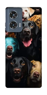 Чехол на Motorola Edge 50 Собаки фото 1 из 1