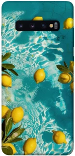 Чохол на Samsung Galaxy S10+ Lemon фото 1 з 1