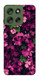 Чохол на Motorola Moto G56 5G Flowers v7 фото 1 з 1