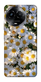 Чохол на Realme C67 4G Поле ромашок фото 1 з 1
