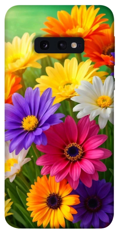 Чохол на Samsung Galaxy S10e Flowers v32 фото 1 з 1