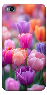 Чохол на Xiaomi Redmi 4a Тюльпанове поле фото 1 з 1