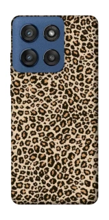 Чохол на Motorola Edge 60 Stylus Leopard Skin v2 фото 1 з 1