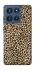 Чохол на Motorola Edge 60 Stylus Leopard Skin v2 фото 1 з 1