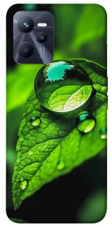 Чохол на Realme C35 Flowers v16 фото 1 з 1