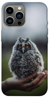 Чохол на Apple iPhone 12 Pro Max (6.7") Совеня фото 1 з 1