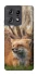Чохол на Motorola Edge 50 Pro Лисиця фото 1 з 1