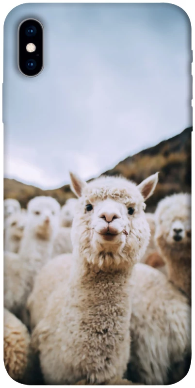 Чохол на Apple iPhone X (5.8") Лама фото 1 з 1