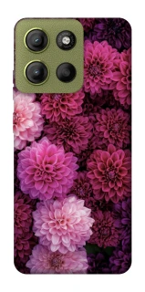 Чохол на Motorola Moto G15 4G Garden1 фото 1 з 1