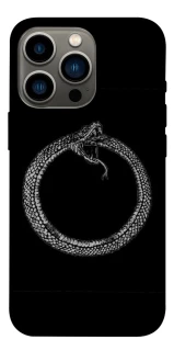 Чохол на Apple iPhone 13 Pro (6.1") Ouroboros фото 1 з 1