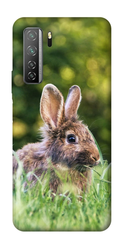 Чехол на Huawei Nova 7 SE Кролики фото 1 из 1