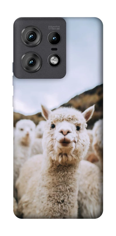 Чехол на Motorola Edge 50 Pro Лама фото 1 из 1