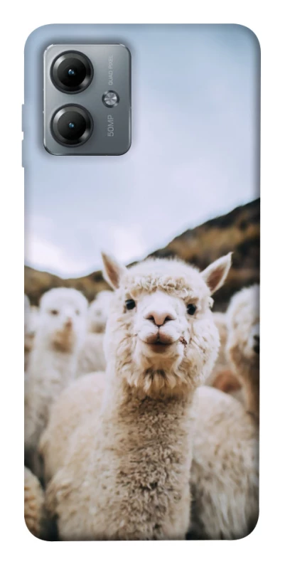 Чохол на Motorola Moto G14 Лама фото 1 з 1