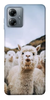 Чохол на Motorola Moto G14 Лама фото 1 з 1