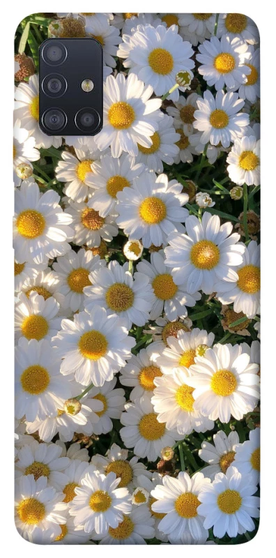Чохол на Samsung Galaxy M51 Поле ромашок фото 1 з 1