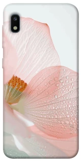 Чехол на Samsung Galaxy A10 (A105F) Flowers zon фото 1 из 1