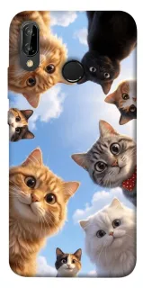 Чехол на Huawei P20 Lite Cats фото 1 из 1