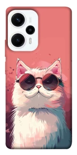 Чехол на Xiaomi Poco F5 / Note 12 Turbo Сat with glasses фото 1 из 1
